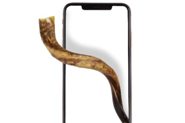 כל הארץ שופר: מנוע חיפוש חדש יזניק את 'מבצע שופר' לשיא חדש