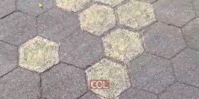 אלמוני צייר גרפיטי מעניין בשדרות איסטרן פארקווי, על המדרכה. הצלם מנדי עקיבא תיעד. צפו: