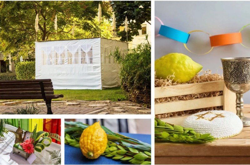 עתידות: השנה תשבו בסוכות לויתן