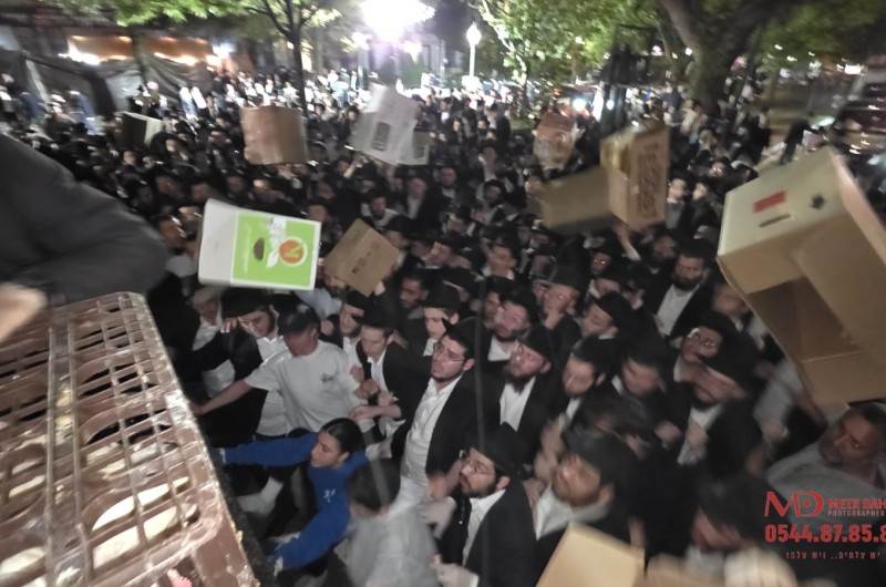 לחץ, דוחק ב'כפרות': התרנגולים הגיעו ב-4 לפנות בוקר