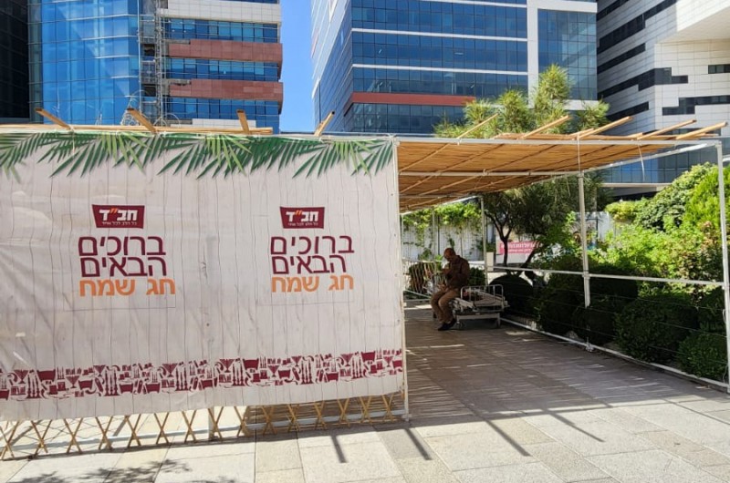 הסוכה של בית חב