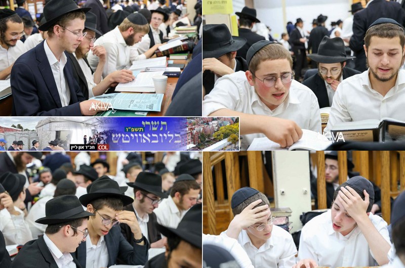 חוברות לימוד ליש