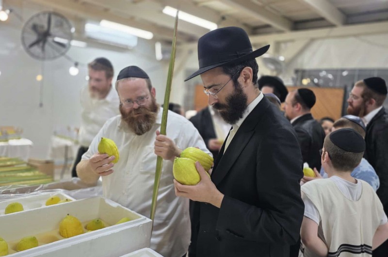 מהדר במצווה: רב קהילת חב