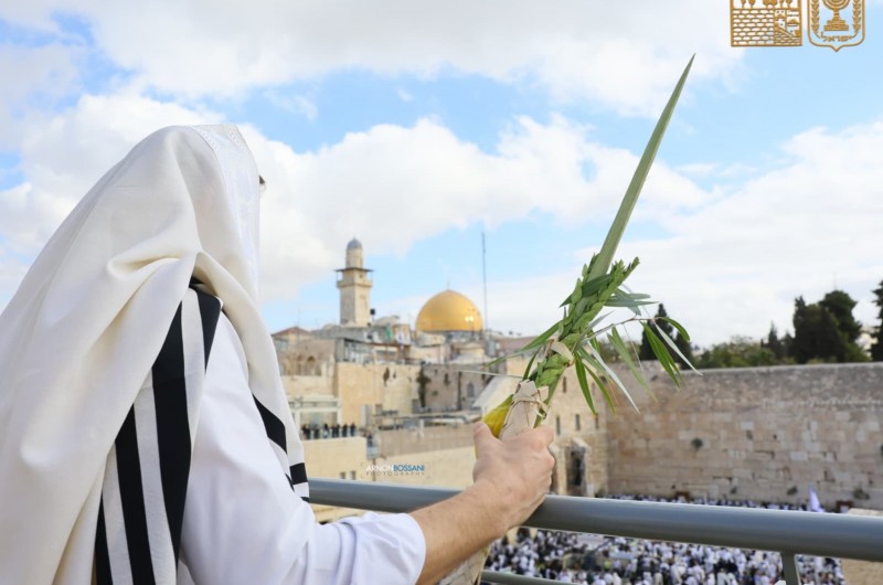 40,000 איש השתתפו במעמד ברכת הכהנים השני - בתפילת שחרית ומוסף של חג הסוכות שהתקיימה הבוקר ברחבת הכותל המערבי שבירושלים (צילום: הקרן למורשת הכותל המערבי)