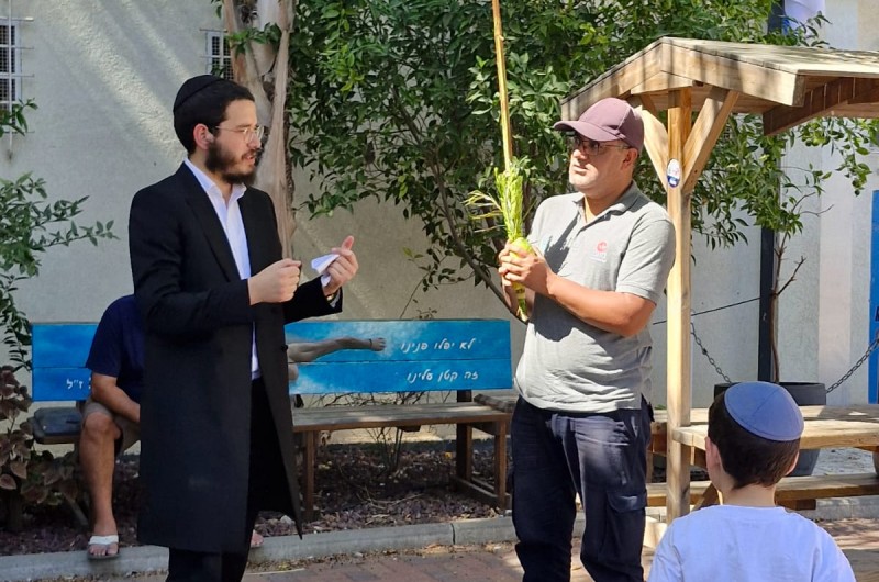 בכל רחבי הארץ: שלוחי הרבי מובילים את מבצע לולב | תיעוד