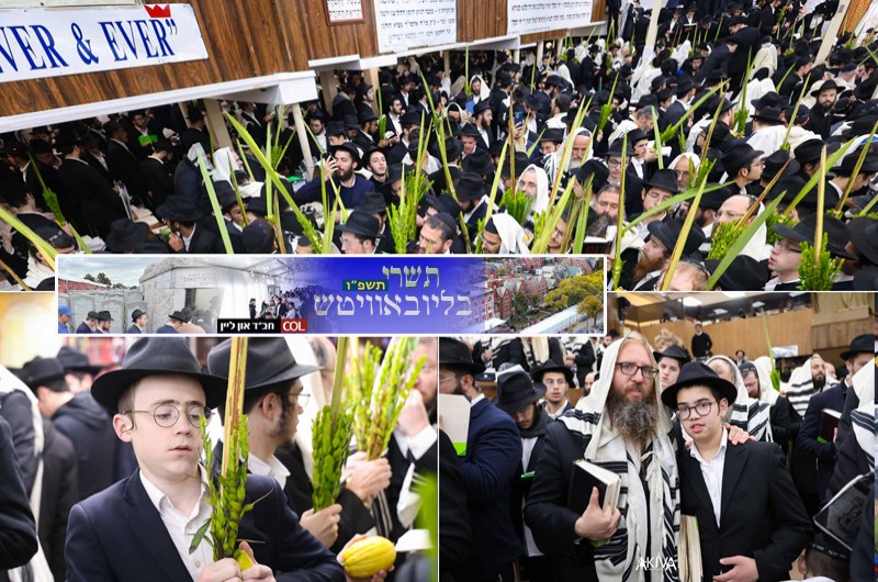 'הלל' ו'נענועים' של אלפים: תפילת שחרית חול המועד ב-770