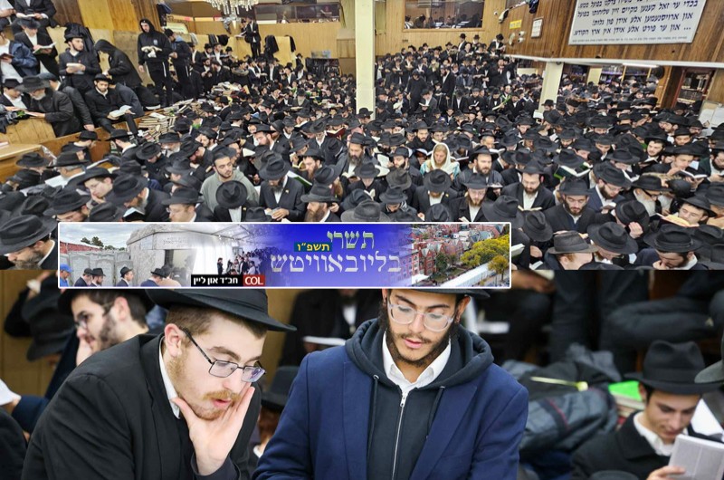 ליל הושענא רבה ב-770: הלימוד, התהילים והדבש | עקיבא תיעד