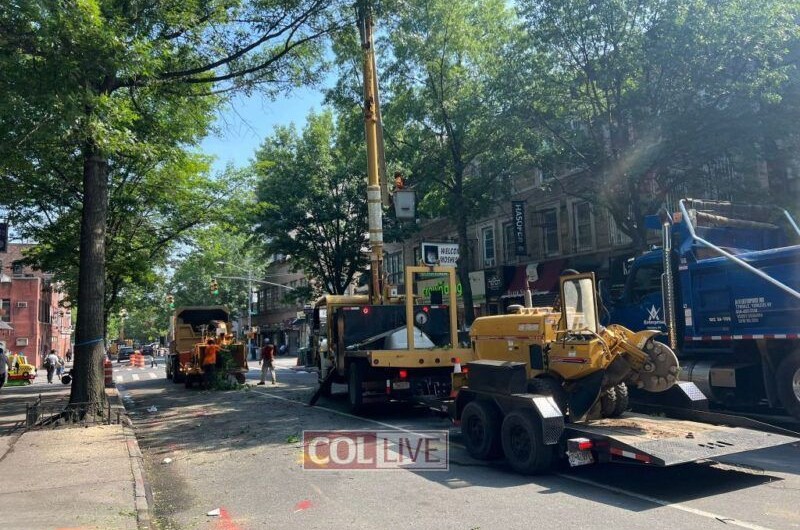 עם סיום חגי תשרי: עיריית ניו יורק סוגרת חלקית את הרחובות בשכונת קראון הייטס לצורך עבודות בכבישים ותחזוקת הבטיחות