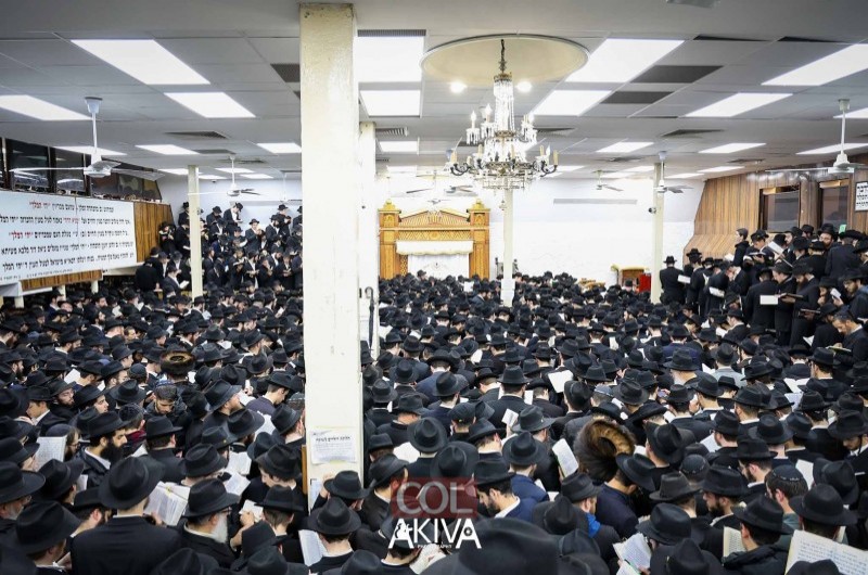 כ-3,500 חסידים צעדו בשמחת תורה ל-280 בתי כנסת בניו יורק