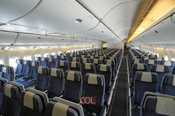 יוזיל את הנסיעה לרבי: אמריקן איירלנס חוזרת לטוס לישראל