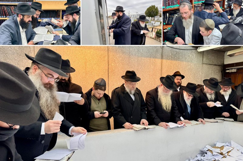 היישר משדה התעופה: השלוחים מתחילים בתפילה באוהל הק'