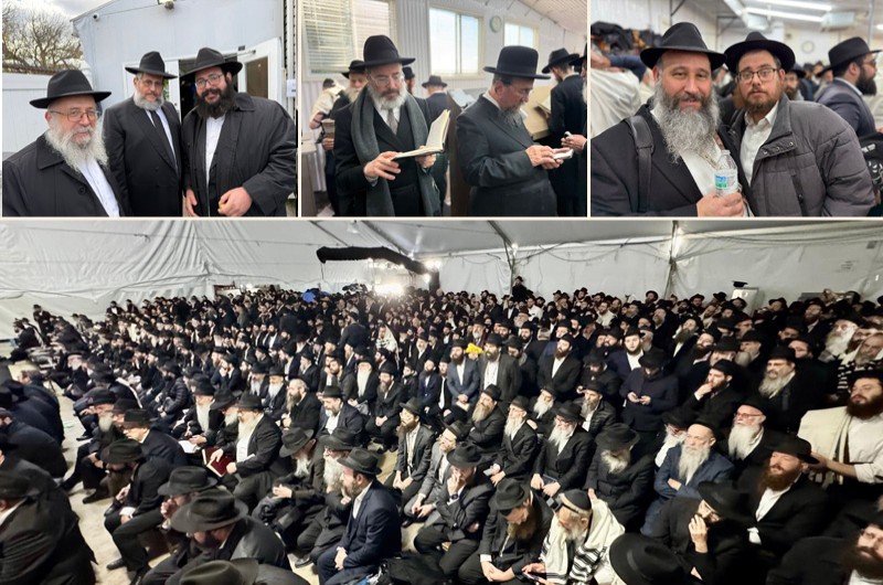 לקראת רגע השיא: השלוחים ב'טענט' לפני הפ