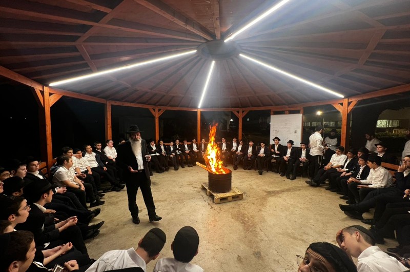 תוכנית ה'פרד