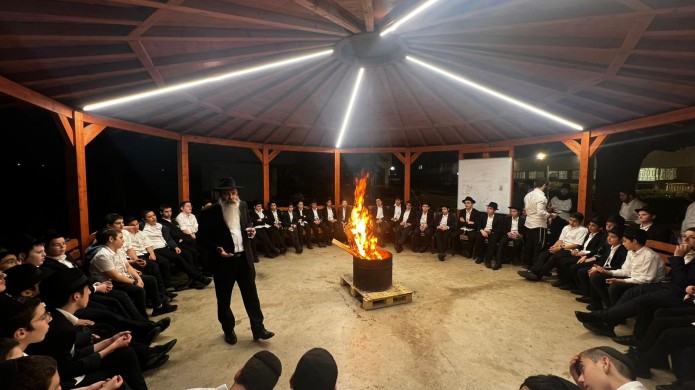 תוכנית ה'פרד