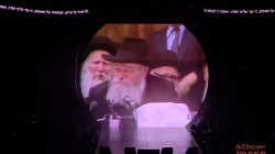 מראות קודש של הרבי מוקרנים ב'צמאה' לאלפי לבבות ונפשות, וממשיכים להאיר, לרגש ולהעצים כל אחד ואחת. צילום: מאיר דהן. צפו: