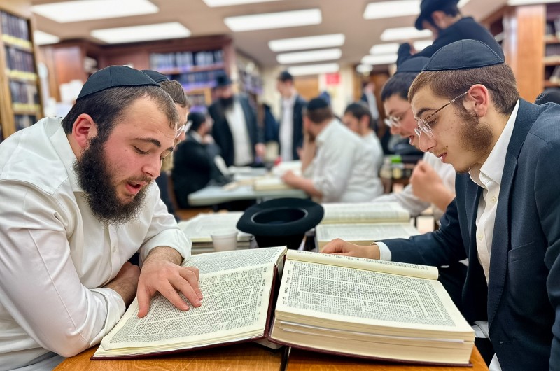 מהנעשה ב-770: חברותות, סדרי לימוד ושקידה על הספרים