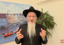 שליח הרבי ורבה של רוסיה הגה