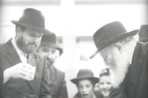 ברוך דיין האמת: המשב