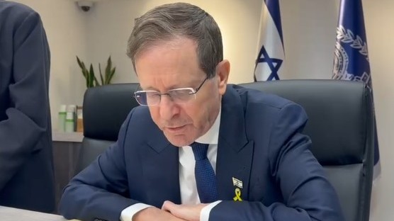 השליח להרצוג: 