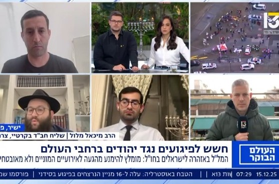 למרות אזהרות המל