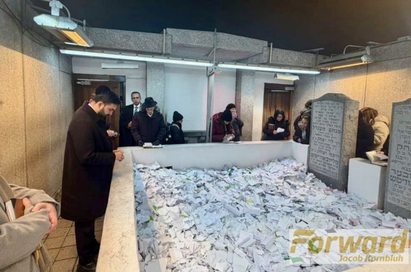 רוצה לחזק את הקהילה היהודית: ראש העיר ניו-יורק החדש שנבחר זוהרן ממאדני - וידוע בדעותיו ואמירותיו הפרו-פלסטיניות, הגיע לאחר הפיגוע האכזרי באוסטרליה בו נרצחו שלוחי חב