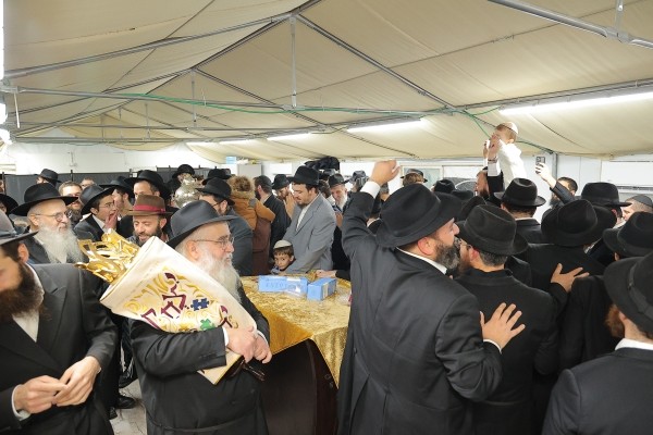 משפחת ערנטרוי הכניסה ס