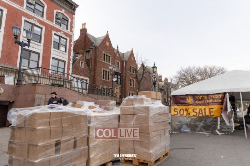 'דידן נצח' בחצרות קודשנו: חסידי חב
