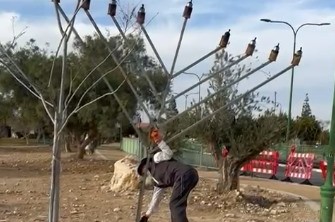 עצוב: אלמונים השחיתו את החנוכייה הגדולה באשלים שברמת הנגב