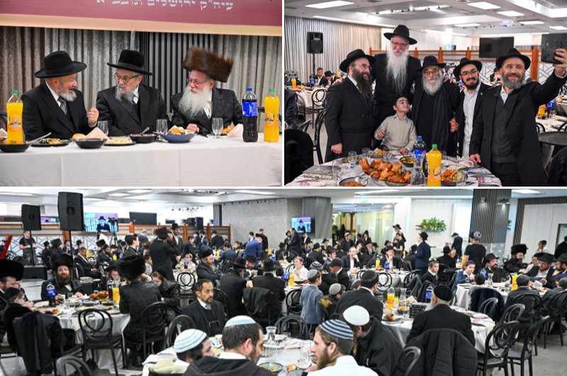 המוני צאצאי אדמוה