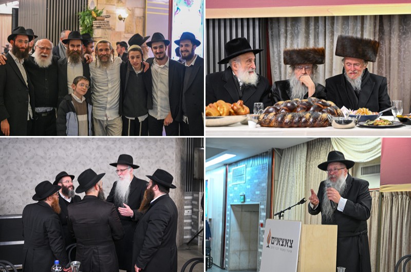 המוני צאצאי אדמוה