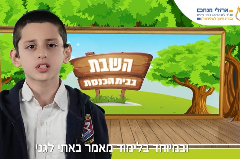 התנין הגדול, דג הזהב הבודד וההכנות ליו