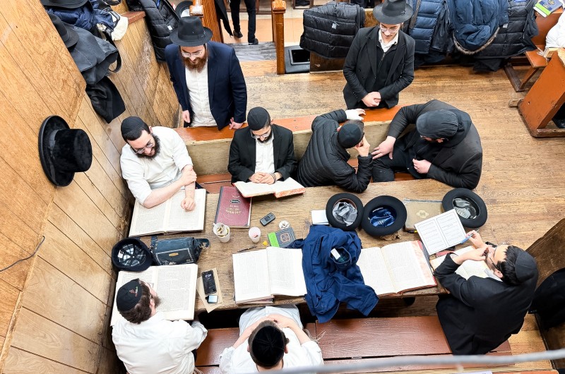 הגלריה השבועית של תלמידי תות