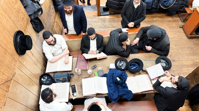 הגלריה השבועית של תלמידי תות