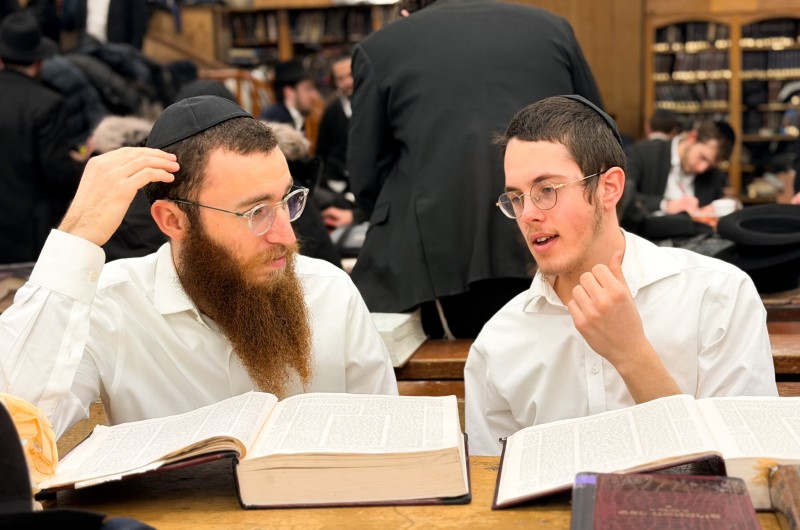 הגלריה השבועית של תלמידי תות