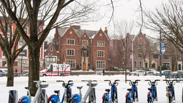סופת חורף עזה בניו יורק, הכל נצבע לבן: תיעוד מרהיב מ-770