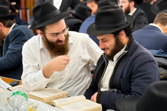 הגלריה השבועית של תלמידי תות