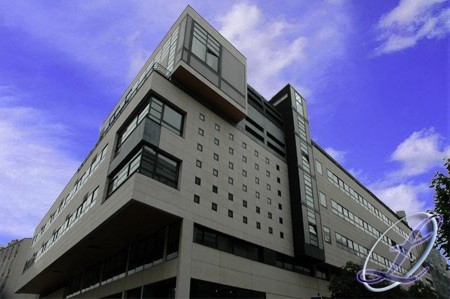 שיכור השחית את 