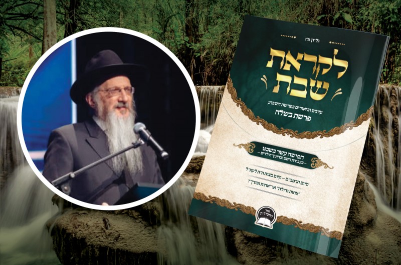 רבה של רוסיה על 'לקראת שבת': 