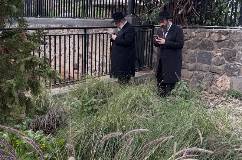 והכהנים: יו