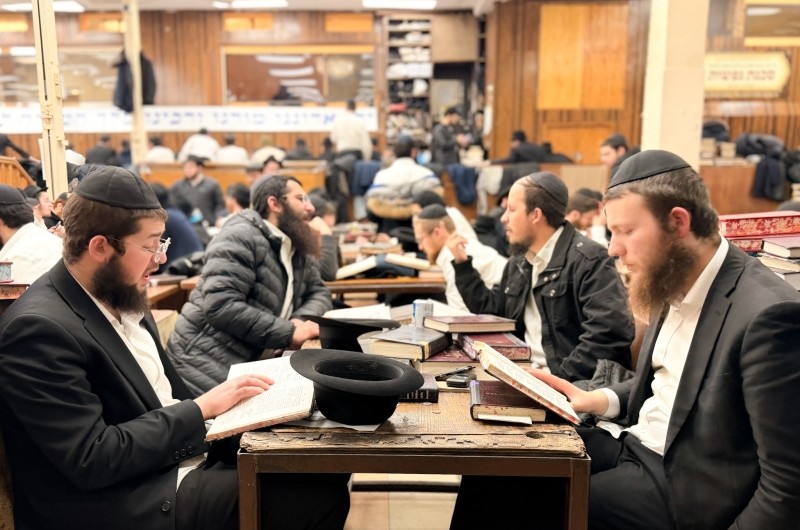 הגלריה השבועית של תלמידי תות