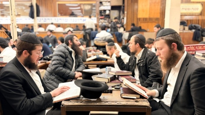 הגלריה השבועית של תלמידי תות