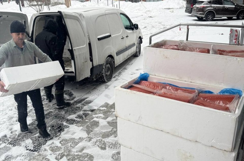 בהקפאה טבעית מהשלג: עשרות ארגזי דגי סלמון איכותיים, הגיעו הבוקר למרכז החסד היהודי 'שערי צדק' במוסקבה, לקראת חלוקת סלי 