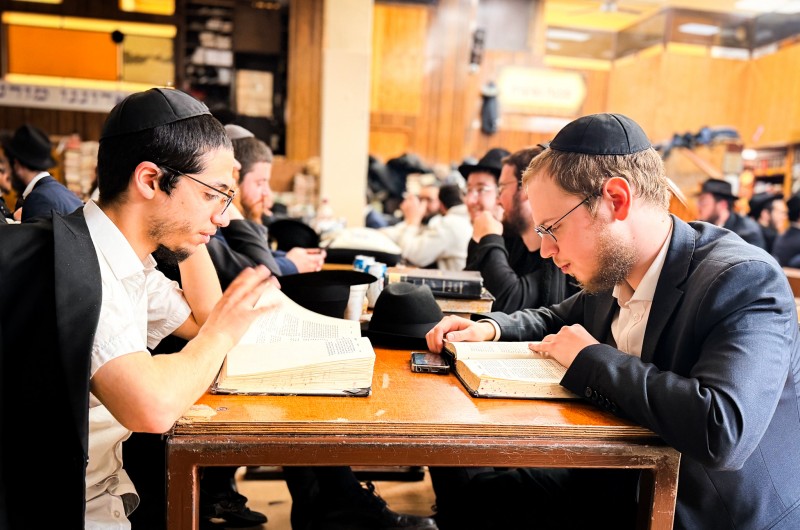 הגלריה השבועית של תלמידי תות