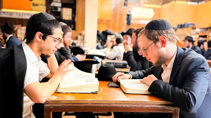 הגלריה השבועית של תלמידי תות