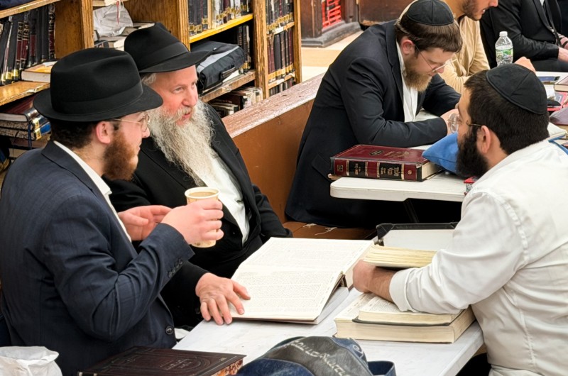 הגלריה השבועית של תלמידי תות