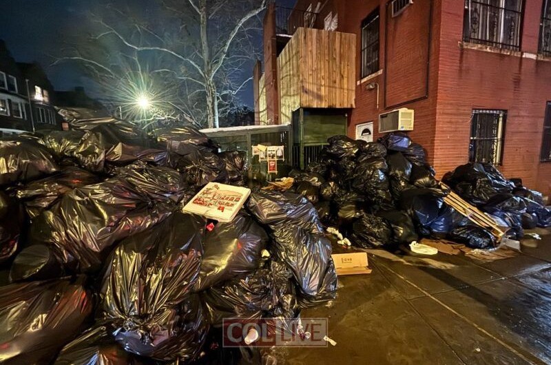 ערמות של שקיות שחורות בפינת קינגסטון ויוניון: סופת השלגים בניו יורק גרמה צרות גם למערכת התברואה וצוותי פינוי האשפה ברחובות קראון הייטס