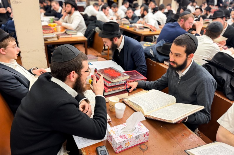 הגלריה השבועית של תלמידי תות