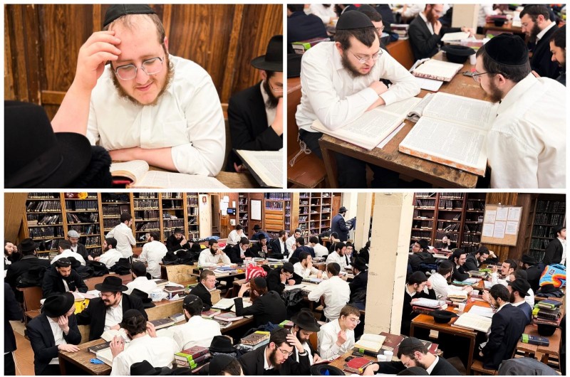 מהנעשה ב-770: חברותות, סדרי לימוד ושקידה על הספרים