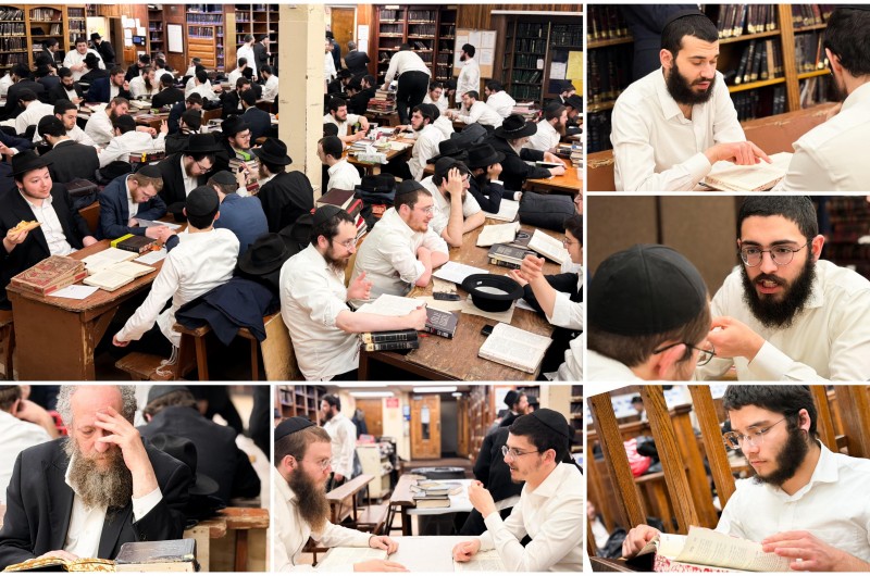 הגלריה השבועית של תלמידי תות