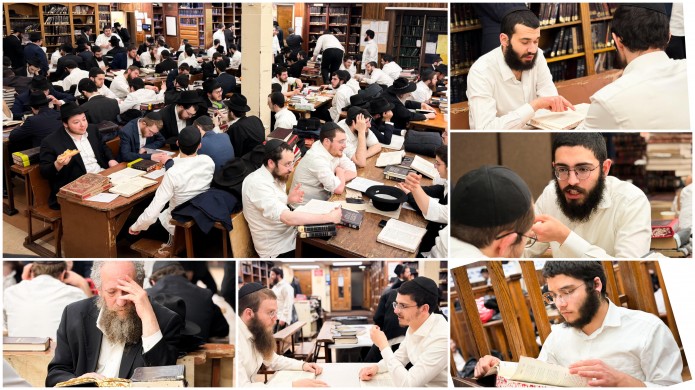 הגלריה השבועית של תלמידי תות